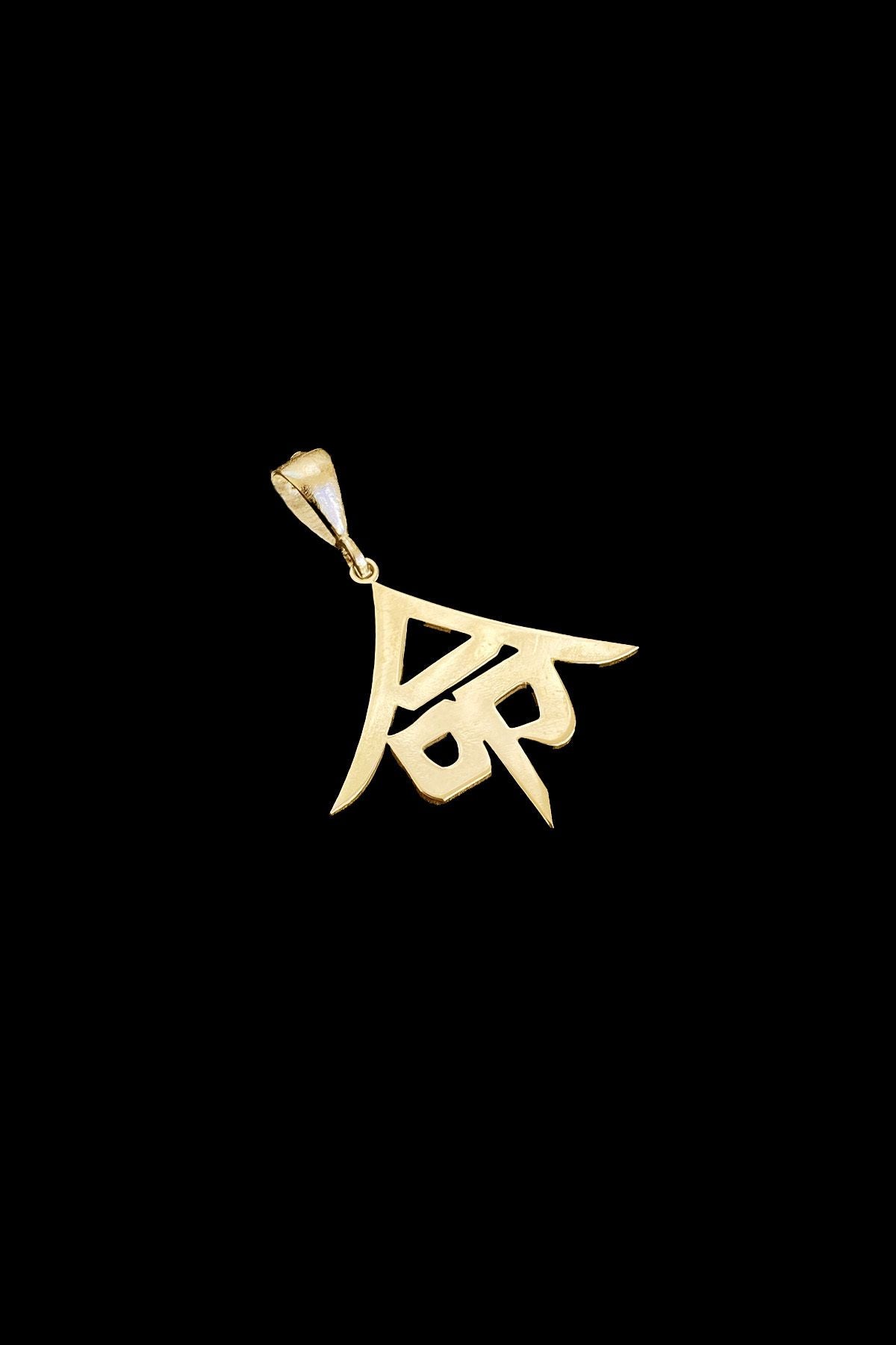 'hayat' Kanji Japonca Gümüş Kolye Ucu, 'life' Kanji Japanese Silver Necklace Pendant, Gold