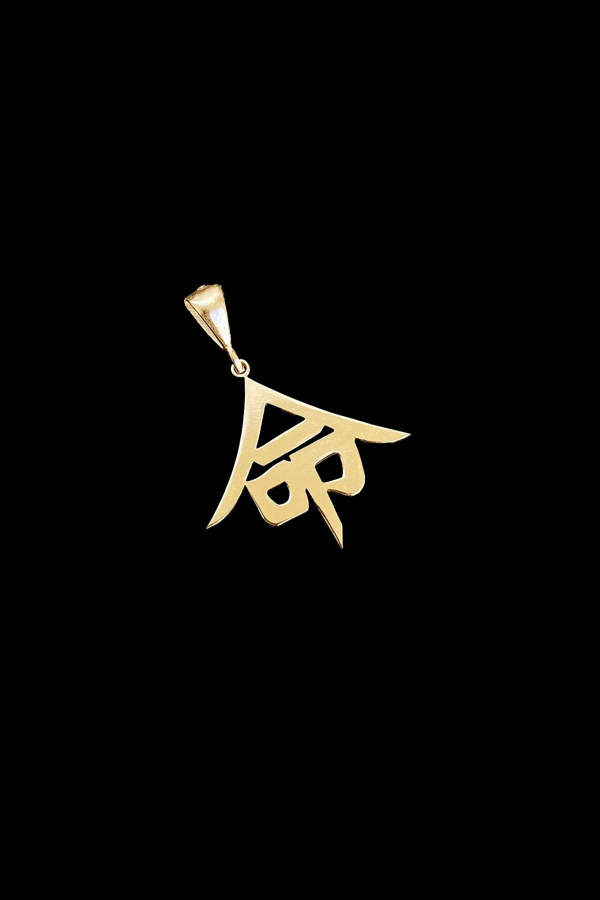 'hayat' Kanji Japonca Gümüş Kolye Ucu, 'life' Kanji Japanese Silver Necklace Pendant, Gold